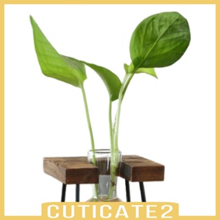 [Cuticate2] แจกันดอกไม้ กรอบไม้ใส สไตล์โมเดิร์น สําหรับโต๊ะทานอาหาร