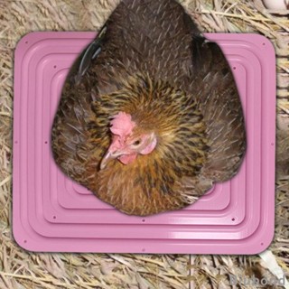 [Biubond] แผ่นรังไก่ สําหรับวางไข่ไก่ ฟาร์มสัตว์ปีก