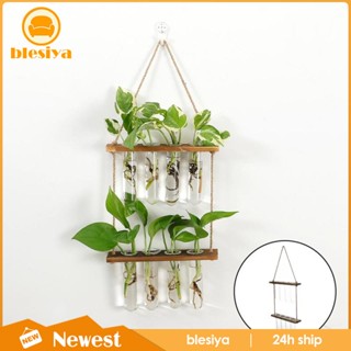 [Blesiya] หลอดทดลอง แบบ 2 ชั้น สําหรับปลูกต้นไม้