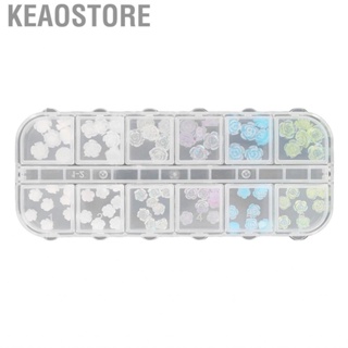 Keaostore 1 Box Flower Nail Charms Set Portable Accessory Decorative Craft Charm for Travel Performance