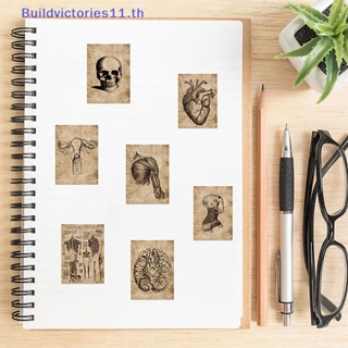 Buildvictories11 สติกเกอร์โปสเตอร์ ลายกายวิภาคศาสตร์ และสรีรวิทยา 56 ชิ้น TH