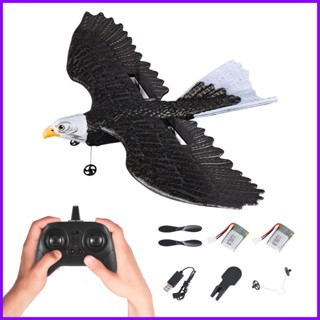 เครื่องบินบังคับวิทยุ 2.4GHZ 2CH Eagle-Shaped RC EPP ปีกนกอินทรี 2.4G พร้อมรีโมตคอนโทรล