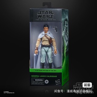 Hasbro โมเดลฟิกเกอร์ Star Wars ขยับได้ ขนาด 20 ซม. สีดํา สําหรับตกแต่ง