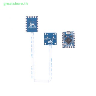 Greatshore บอร์ดไมโครคอนโทรลเลอร์ RP2040-Tiny พร้อมชิป USB RP2040 1 ชิ้น