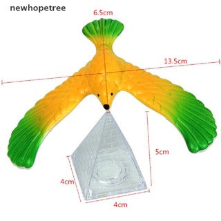 [newhopetree] ของเล่นวิทยาศาสตร์ รูปนก สําหรับเด็ก