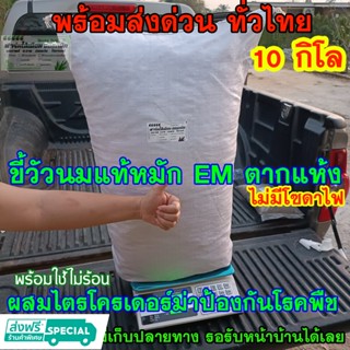 ขี้วัวนมแห้ง ยกกระสอบ หมัก EM ผสมไตรโครเดอร์ม่าป้องกันโรค 8-10โลไม่มีดินปน ไม่มีโซดาไฟ ไม่มีสารเคมี