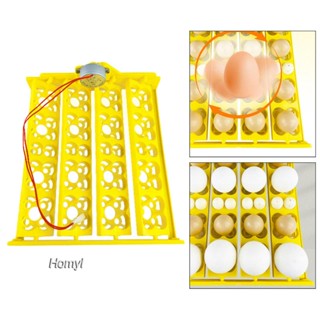 [Homyl] ถาดฟักไข่อัตโนมัติ สําหรับนกกระทา นกกระทา