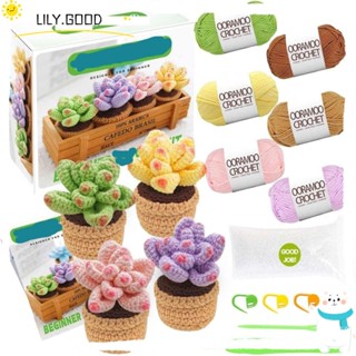 LILY Succulents ชุดโครเชต์ 4 สี สําหรับผู้ใหญ่ diy