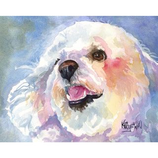 ภาพวาดสีน้ํา Bichon Frise Art Print Bichon Frise Gifts จากภาพระบายสีน้ํา โดย Ron Krajewski ลงนามในขนาด X นิ้ว และ X นิ้ว จํานวน 1 ชิ้น