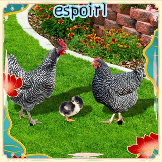 Espo ฟิกเกอร์อะคริลิค รูปปั้นไก่สองด้าน สําหรับตกแต่งสวน