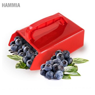 Blueberry Picker Scoop Berry Rake Hand สวน เครื่องมือฟาร์มพร้อมหวีโลหะที่จับตามหลักสรีรศาสตร์  HAMMIA