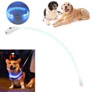 LED Dog Walking Collar Rechargeable USB Pet Luminous Necklace for Night Safety