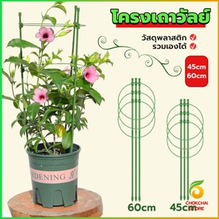 CK โครงเถาวัลย์ เสามะเขือเทศ โครงปลูก อุปกรณ์สำหรับพืชไม้เลื้อย 45cm 60cm plant trellis