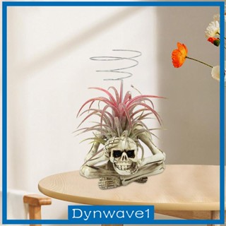 [Dynwave1] ที่วางหัวกะโหลก สีเขียว สําหรับตกแต่งฮาโลวีน