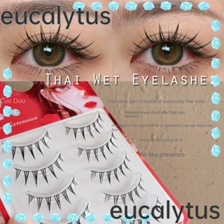 Eucalytus1 ขนตาปลอม ยาว ธรรมชาติ ใช้ซ้ําได้ นิ่ม ไทย เปียก