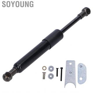 Soyoung Auto Tailgate Assist Shock Struts TSSIL07 Fit for Chevrolet Silverado/Sierra 20072018