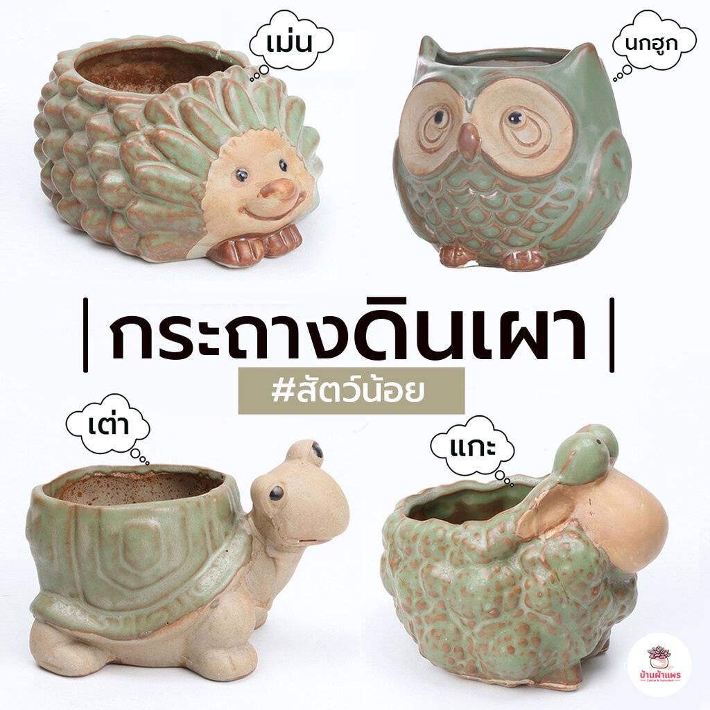 กระถางดินเผา สัตว์น้อย โทนเขียว กระถางต้นไม้ ไม้อวบน้ำ กุหลาบหิน cactus&succulentหลากหลายสายพันธุ์
