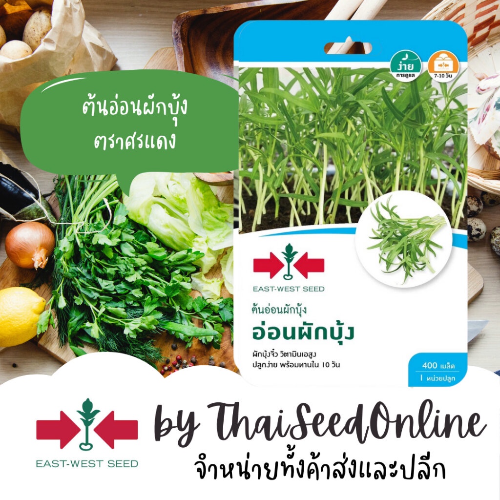 Sorndang(ศรแดง) GGEW เมล็ดพันธุ์ ต้นอ่อนผักบุ้งงอก 400 เมล็ด ตราศรแดง Morning Glory Sprout Seeds