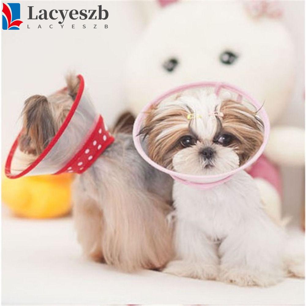 Lacyeszb ปลอกคอพลาสติก ป้องกันการกัด ป้องกันการเลีย สีสันสดใส สําหรับสัตว์เลี้ยง แมว