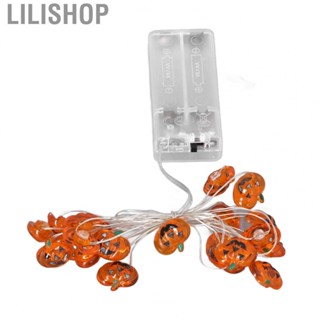 Lilishop Pumpkin Lights String 2m Long 20pcs  Copper Wire DIY  Powered Dec YU