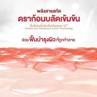Puricas เพียวริก้าส์ Scar Gel (สินค้าตามตัวเลือก)