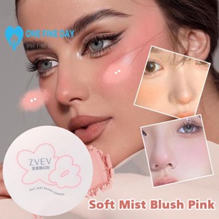 บลัชออนปัดแก้ม เนื้อแมตต์ สีชมพูนู้ดธรรมชาติ D0C5