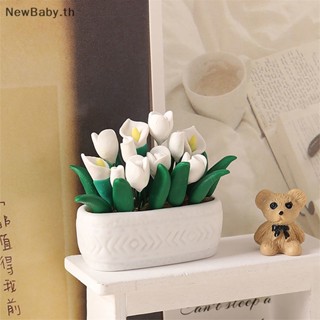 Newbaby โมเดลกระถางดอกไม้ทิวลิปจิ๋ว 1:12 สําหรับตกแต่งบ้านตุ๊กตา TH