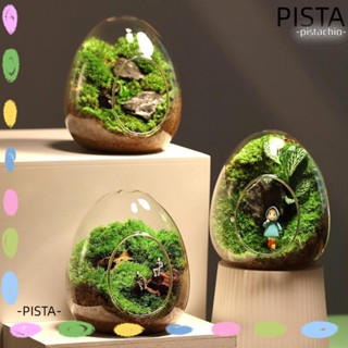 Pista ขวดแก้วมอส รูปไข่ สําหรับสวนขวด