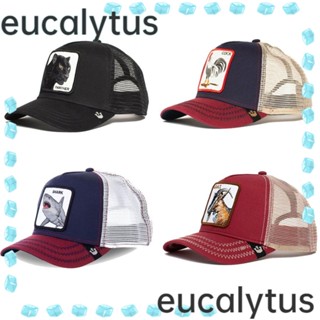 Eucalytus1 หมวกเบสบอล ผ้าตาข่าย ปรับได้ ลายสัตว์ สไตล์ฮิปฮอป สําหรับคน 1 ชิ้น