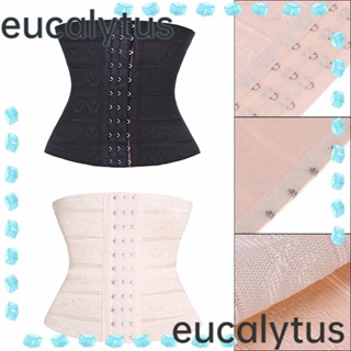 Eucalytus1 เข็มขัดรัดหลังคลอดผู้หญิง เข็มขัดรัดตัว กระชับสัดส่วน