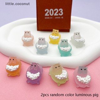 [little.coconut] ตุ๊กตาหมูเรซิ่นเรืองแสงในที่มืด 3D 2 ชิ้น