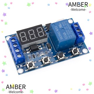 Amber บอร์ดโมดูลรีเลย์ตั้งเวลาไฟฟ้าดิจิทัล รองรับ Micro USB 2 ชิ้น