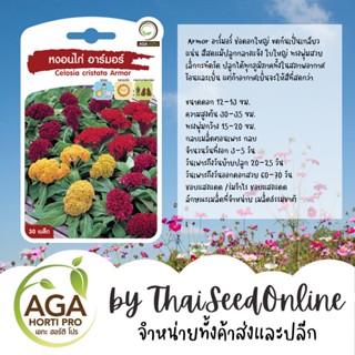 AGAPREMIUM หงอนไก่ อาร์มอร์ 30เมล็ด ตราเอกะอะโกร Celosia Cristata