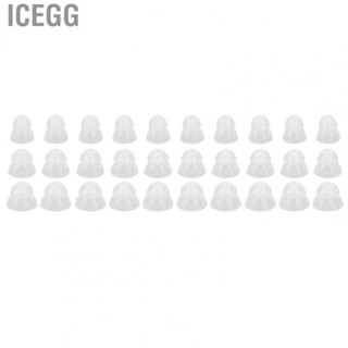 Icegg 10 Pcs Hearing Amplifier Ear Tips Transparent Double Layer Closed  Static US