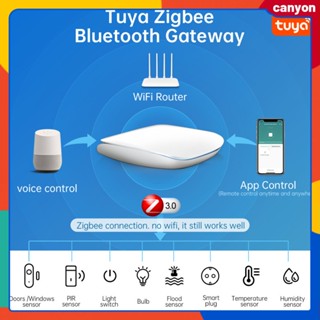 Tuys Smart Zigbee + เกตเวย์ไร้สายโหมดคู่ที่รองรับบลูทู ธ สมาร์ทโฮมอุปกรณ์เชื่อมโยงแอปรีโมทคอนโทรลรองรับการควบคุมด้วยเสียงแคนยอน