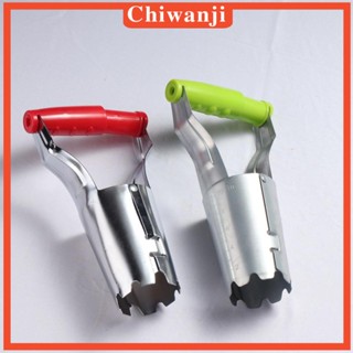 [Chiwanji] หลอดไฟปลูกต้นไม้ 4 นิ้ว