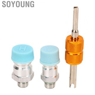 Soyoung Valve AC System  Kit  Deformation Metal Air Conditioning Core Impact Resistant Professional for Car