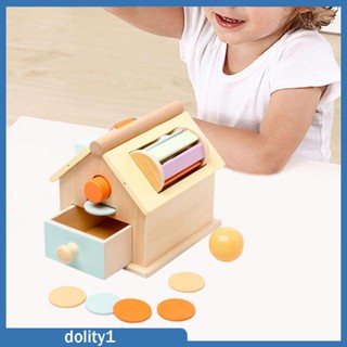 [Dolity1] กล่องจับคู่ลูกบอล สําหรับการเรียนรู้กิจกรรม