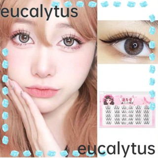 Eucalytus1 ขนตาปลอม รูปตัว V ส่วนขนตาปลอม ธรรมชาติ คลัสเตอร์รูปตัว V ขนตาการ์ตูน เครื่องมือต่อขนตาผู้หญิง