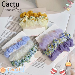 Cactu ยางรัดผมหางม้า ผ้าชีฟอง แบบยืดหยุ่น แฟชั่นสําหรับผู้หญิง 3 ชิ้น