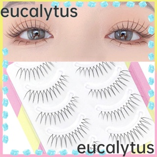 Eucalytus1 ขนตาปลอมไฟเบอร์ เพิ่มความยาวขนตา