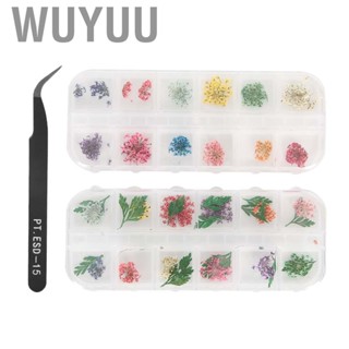 Wuyuu 12 Colors Nail Dried Flowers Art Flower Dry