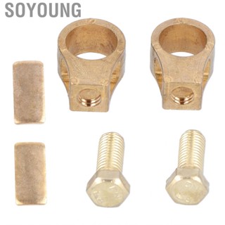 Soyoung Positive Negative Connector Good Conductivity  Terminal Clamp Universal Pure Copper  Corrosion Durable for Auto Car