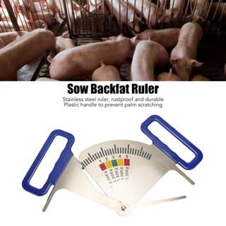 My Green Garden Sow Backfat Caliper สแตนเลส Feeding Management สภาพร่างกายไม้บรรทัดเครื่องมือทำฟาร์มหมู