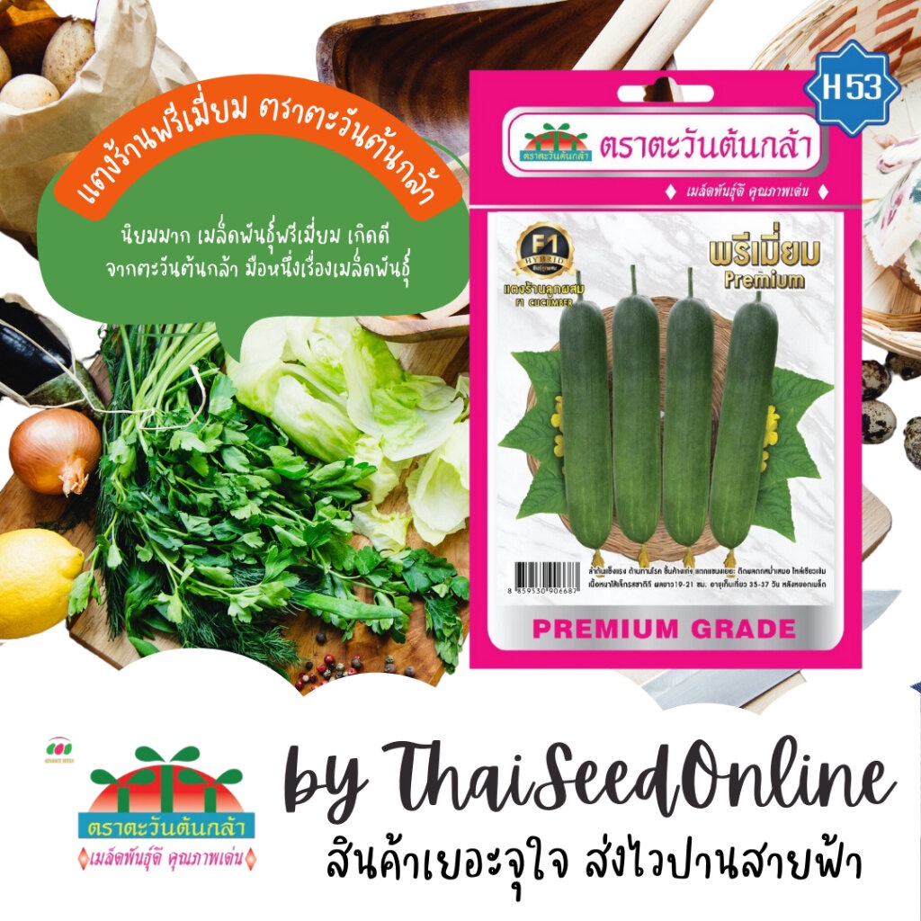 Advance Seeds(ตราตะวันต้นกล้า) ADVF1 ซฟ เมล็ดพันธุ์ แตงร้านพรีเมี่ยม ตราตะวันต้นกล้า H53