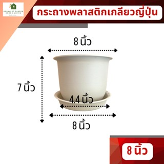 กระถางทรงเกลียวญี่ปุ่น / ทรงญาญ่า ขนาด 8 นิ้ว กระถางพลาสติก ฟรีถาดรองกระถาง (เกรด A แบบหนา)