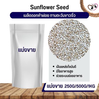 ทานตะวันขาวจิ๋ว ดอกคำฝอย SaffSunFlower อาหารนก กระต่าย หนู กระต่าย กระรอก ชูก้า และสัตว์ฟันแทะ (แบ่งขาย 250G/500G/1KG)