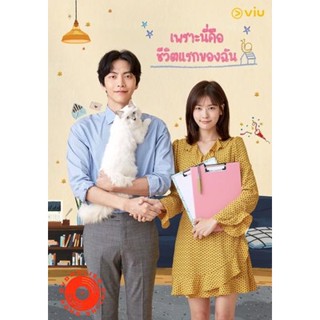 DVD Because This Is My First Life เพราะนี่คือชีวิตแรกของฉัน ( 16ตอนจบ ) (เสียง ไทย/เกาหลี | ซับ ไทย) DVD