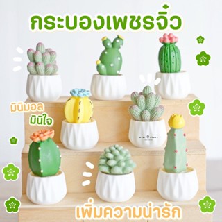 MS5651 โมเดลกระบองเพชรปลอมชุดสีขาว 8 แบบ กระบองเพชรจิ๋ว * ถ่ายจากสินค้าจริง-จากไทย-ชุดสุดคุ้ม