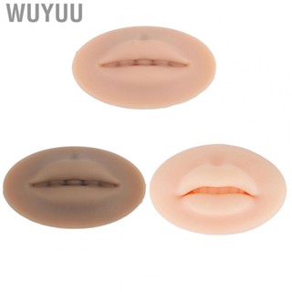 Wuyuu Makeup Human Lip Mold Silicone 3D Lip Tattoo  Practice Training Lip